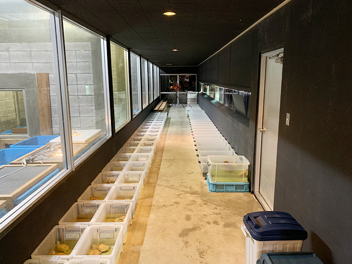 レプタイルホビースト 求人情報