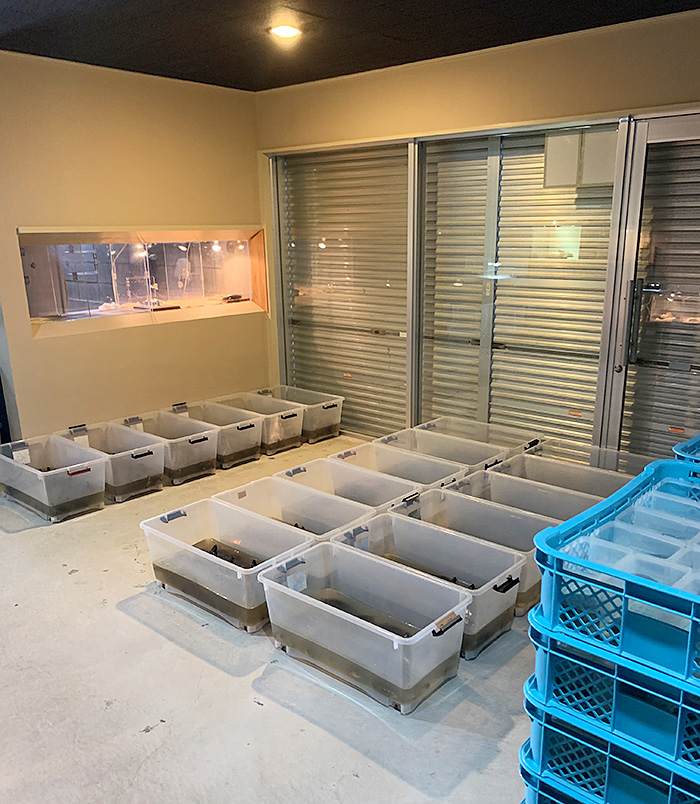 レプタイルホビースト 求人情報