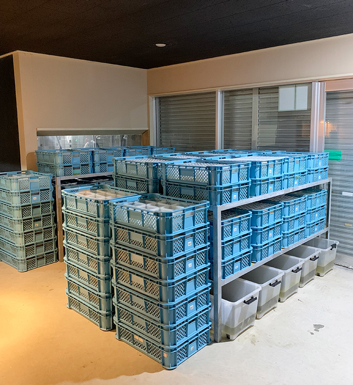 レプタイルホビースト 求人情報